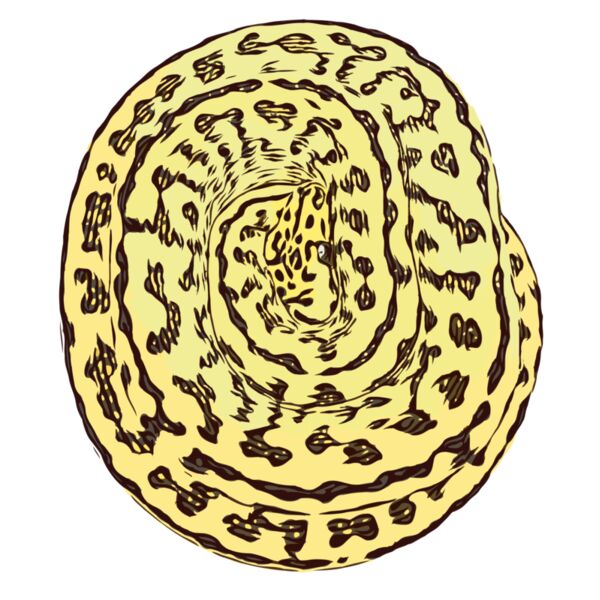 Photo 14 4 18  19 22 25 Thumbnail