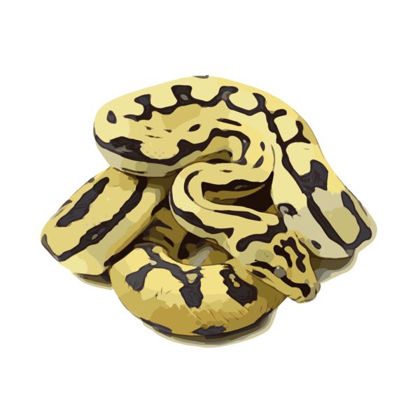 Photo 14 4 18  19 14 31 Thumbnail