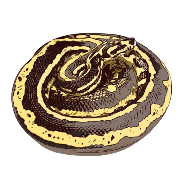 Photo 14 4 18  19 07 36 Thumbnail